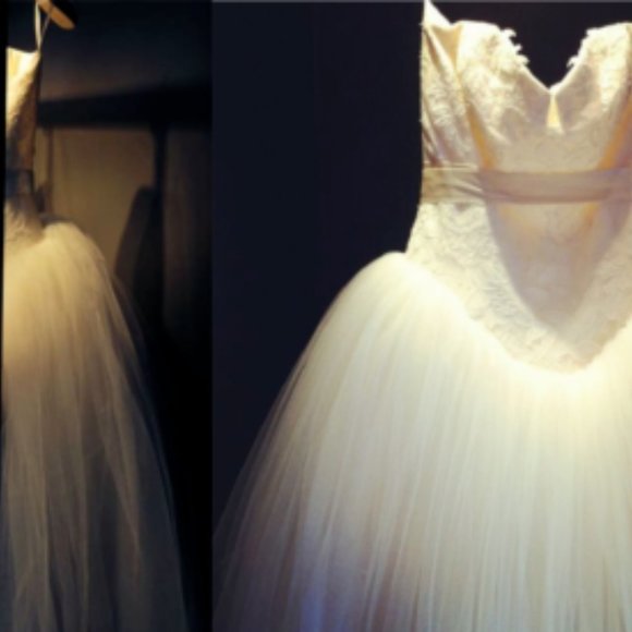 Vera Wang Bride Wars Ball Gown Silk Tulle Size 2 worn once, Cathedral Veil Incl - Picture 3 of 5